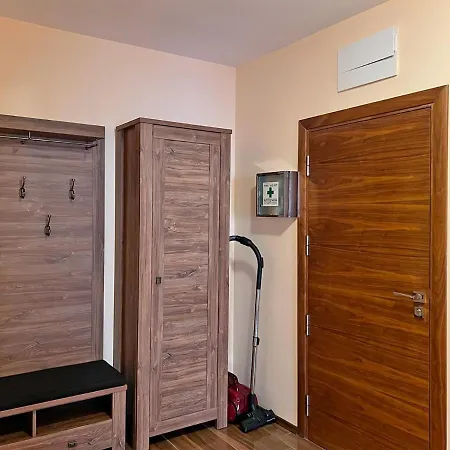 Premium Aristo Święty Włas